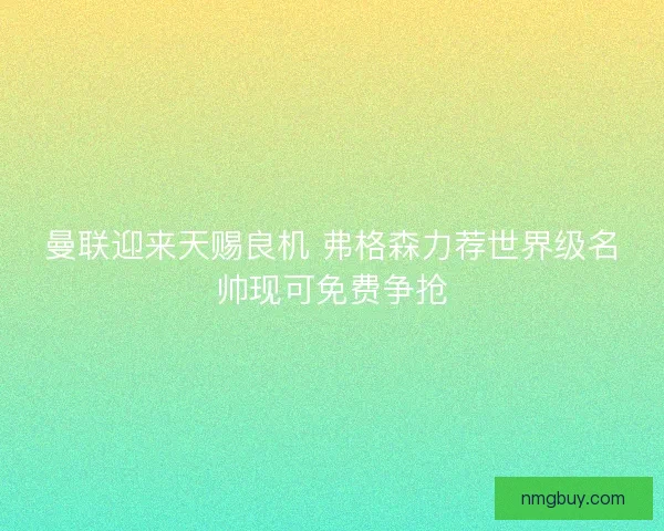 曼联迎来天赐良机 弗格森力荐世界级名帅现可免费争抢