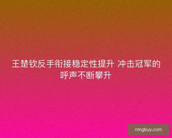 王楚钦反手衔接稳定性提升 冲击冠军的呼声不断攀升 王楚钦反手衔接稳定性提升 冲击冠军的呼声不断攀升