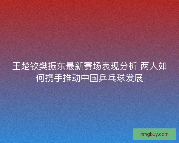 王楚钦樊振东最新赛场表现分析 两人如何携手推动中国乒乓球发展