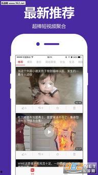 广德吃瓜事件视频播放下载,视频播放下载背后的热议与真相