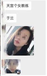 吃瓜网友在线视频观看,在线视频观看背后的现象解析