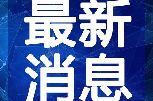 新沂八大碗吃瓜视频最新,一场视觉与味蕾的双重盛宴