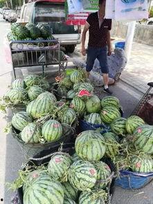 合肥幼儿吃瓜事件视频,幼儿园内意外事件引发社会关注