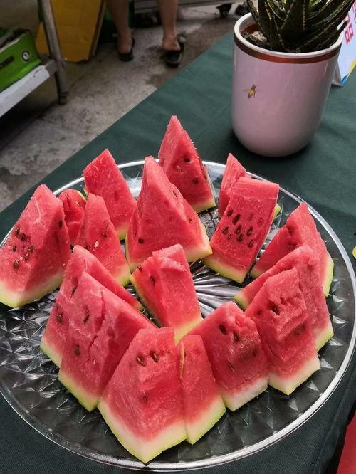 宁夏吃沙瓜事件视频,揭秘沙漠中的甜蜜风暴