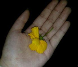 吃瓜去皮的视频素材,揭秘吃瓜去皮的趣味瞬间