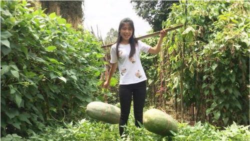 你过来啊吃瓜视频大全在线观看,吃瓜视频大全，精彩瞬间一网打尽！