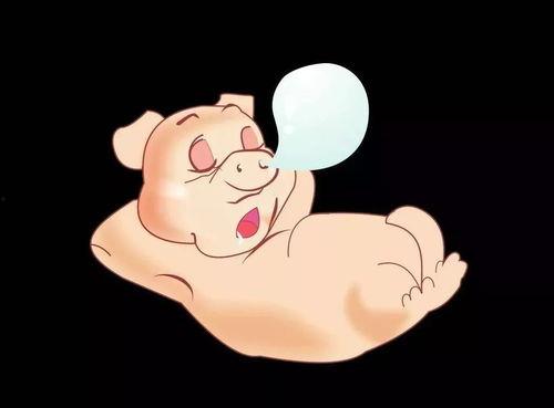 吃瓜主播小胖猪视频大全