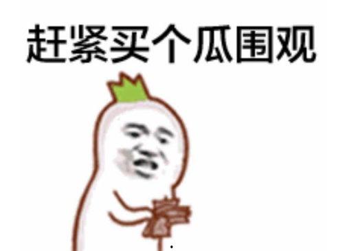 吃瓜表情包新闻视频下载