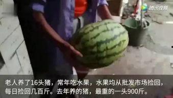 你们吃瓜了吗完整视频