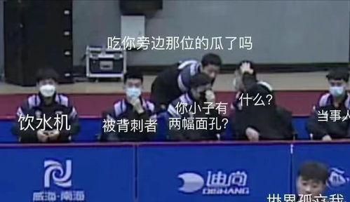 男乒吃瓜事件是真的吗视频,真相揭秘视频曝光