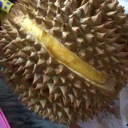 吃小白瓜用去籽吗视频,轻松烹饪美味佳肴