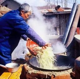 东北农村吃瓜事件视频,一场引发热议的乡村奇观