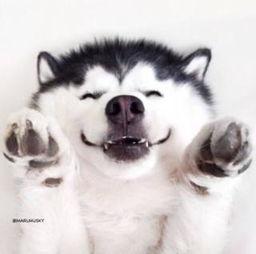 吃瓜群众惊吓视频大全,吃瓜群众惊吓视频大盘点