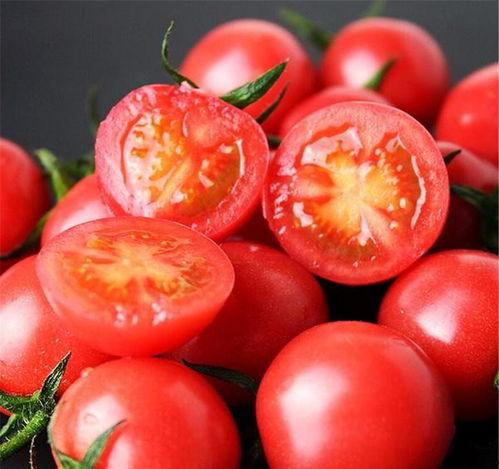 小瓜吃番茄汤长胖吗视频,长胖真相大揭秘！