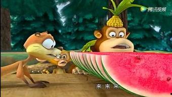 带你吃瓜讲动物的视频,揭秘带你吃瓜讲瓜视频中的趣味动物故事