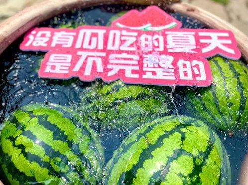 呱呱吃瓜现场视频大全集,趣味视频大盘点