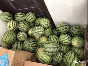 潮州网红吃瓜视频,揭秘潮州美食背后的故事