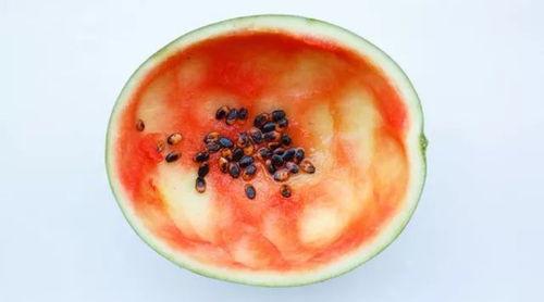 超大勺子吃瓜视频大全,盘点全网热门视频大全