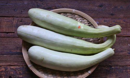 国外邻居吃瓜视频大全,国外邻居吃瓜视频精选集锦