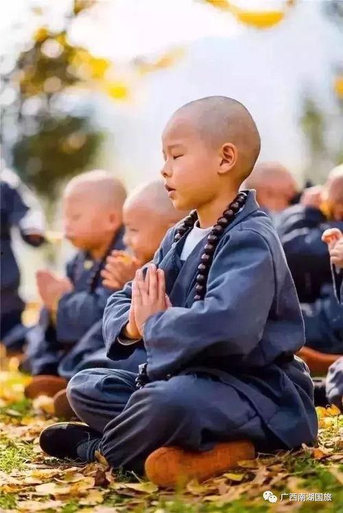 小和尚吃瓜视频,揭秘佛门中的趣味生活瞬间