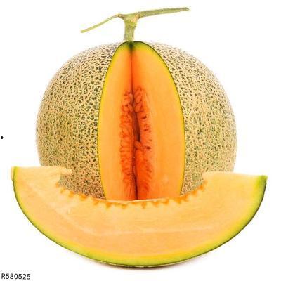 蝴蝶可以吃哈密瓜吗视频,揭秘哈密瓜与蝴蝶的奇妙关系