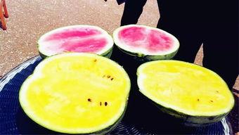 网爆视频吃瓜,揭秘吃瓜群众的狂欢现场