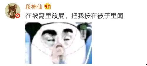 盘点吃瓜现场视频大全,吃瓜现场视频大全，笑料百出，精彩瞬间回顾