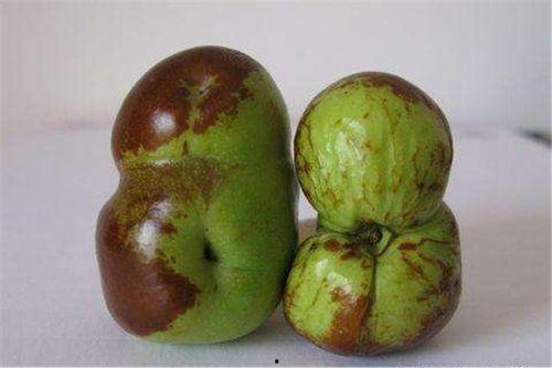 小歪瓜怎么吃最好吃视频,视频揭秘最佳食用方法