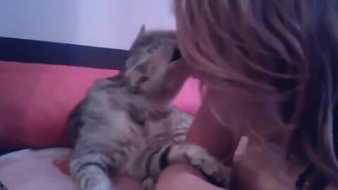 带你吃瓜人类驯服视频播放,人类与视频播放的奇妙互动之旅