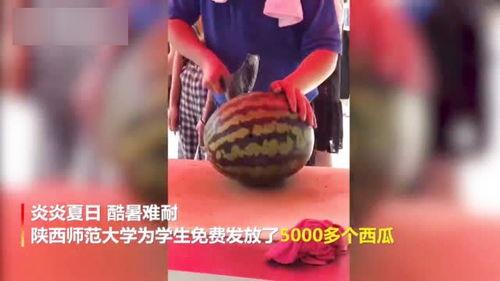 陕西跳舞吃瓜视频完整版,一场别开生面的街头文化盛宴