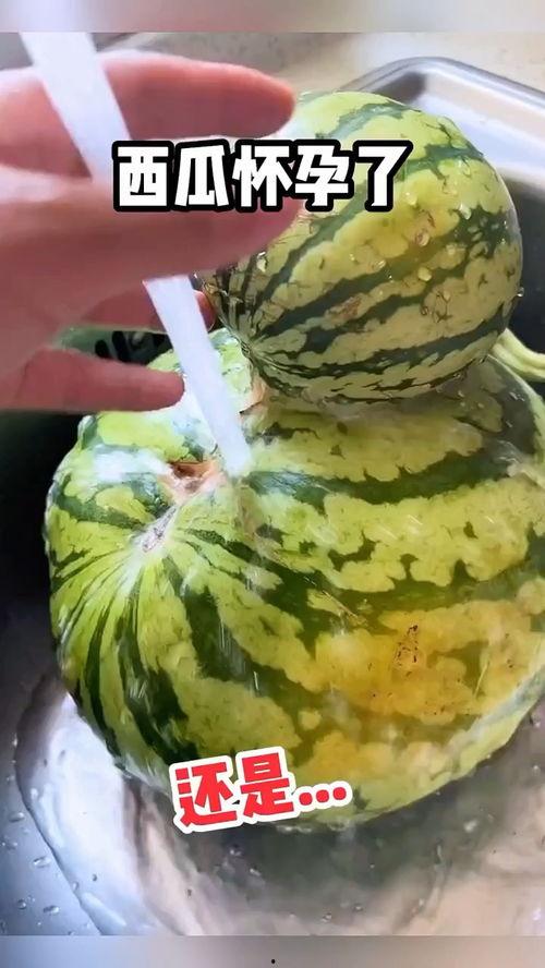 搞笑快速吃瓜视频大全集,笑到肚子疼的瞬间回顾