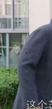 当小三的吃瓜视频,吃瓜视频背后的惊人真相