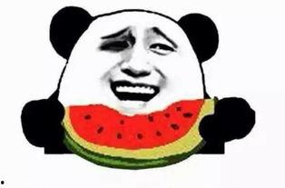 正确的吃瓜群众姿势视频