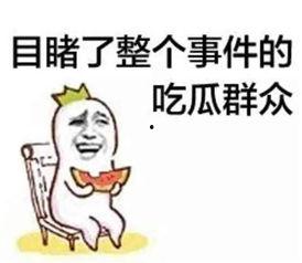 带你吃瓜雷人歌曲视频